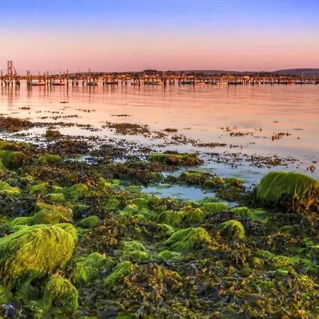 Sea Breeze - Close To Bournemouth Beach And Seafront-3